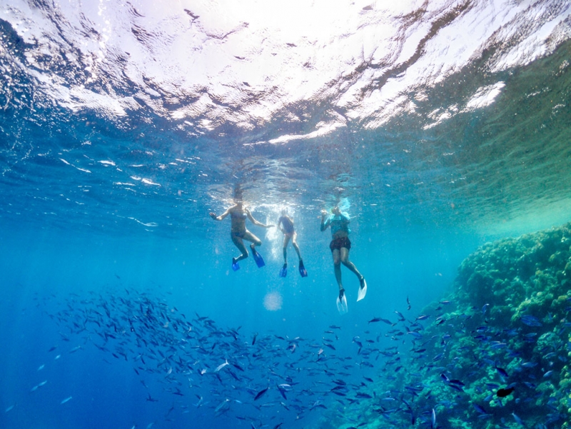 Dolphin House Tour in Marsa Alam (Sha’ab Samadai)